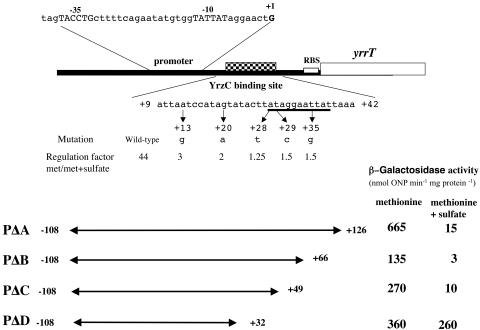 FIG. 7.