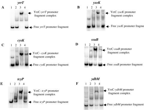 FIG. 5.