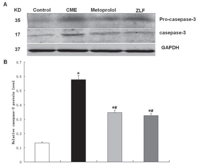 Figure 5)