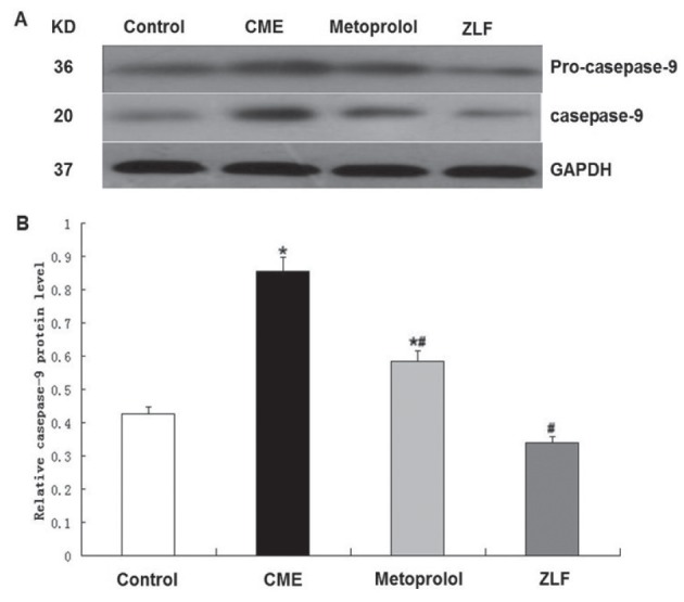 Figure 6)