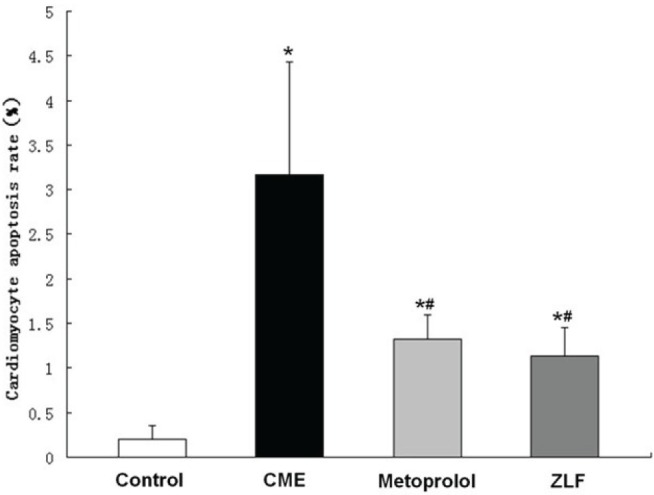 Figure 4)