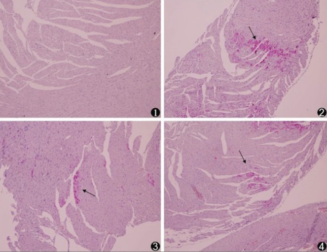 Figure 2)