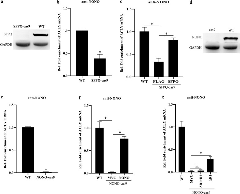 Fig. 6