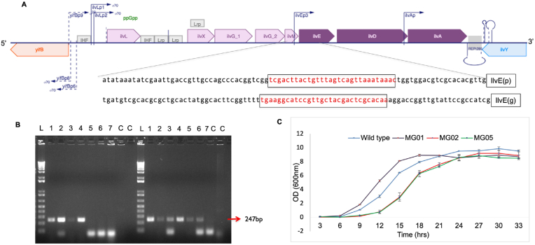 Fig. 3