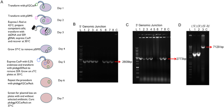 Fig. 2