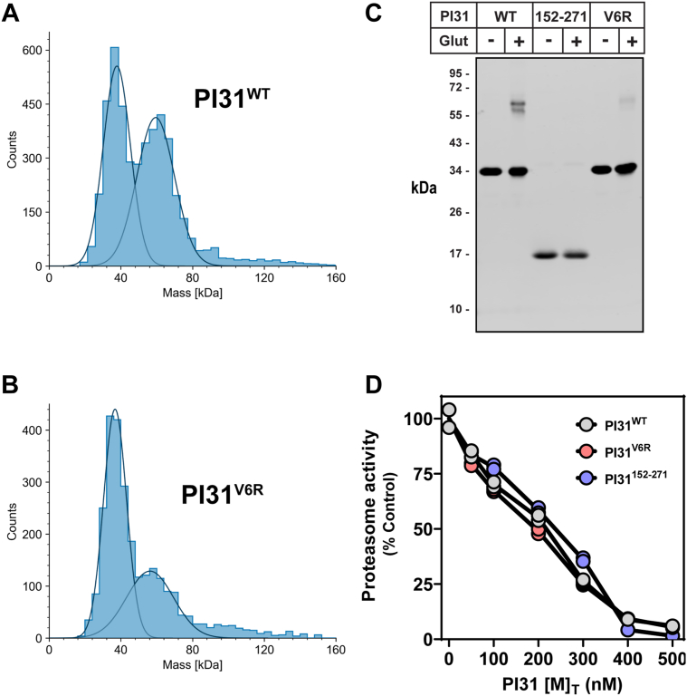 Figure 7