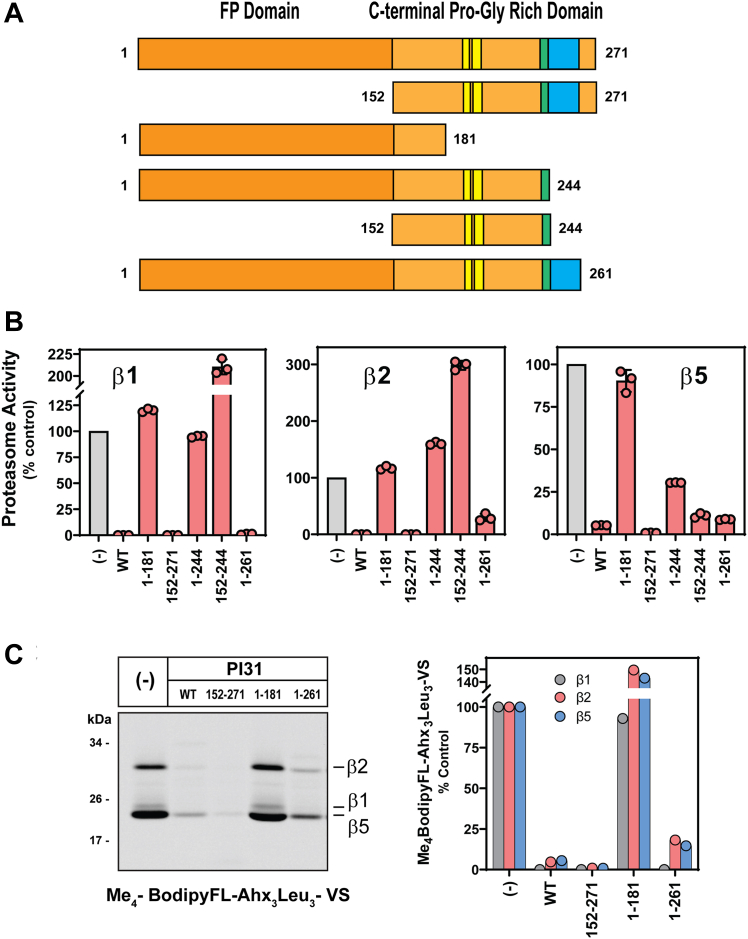 Figure 5