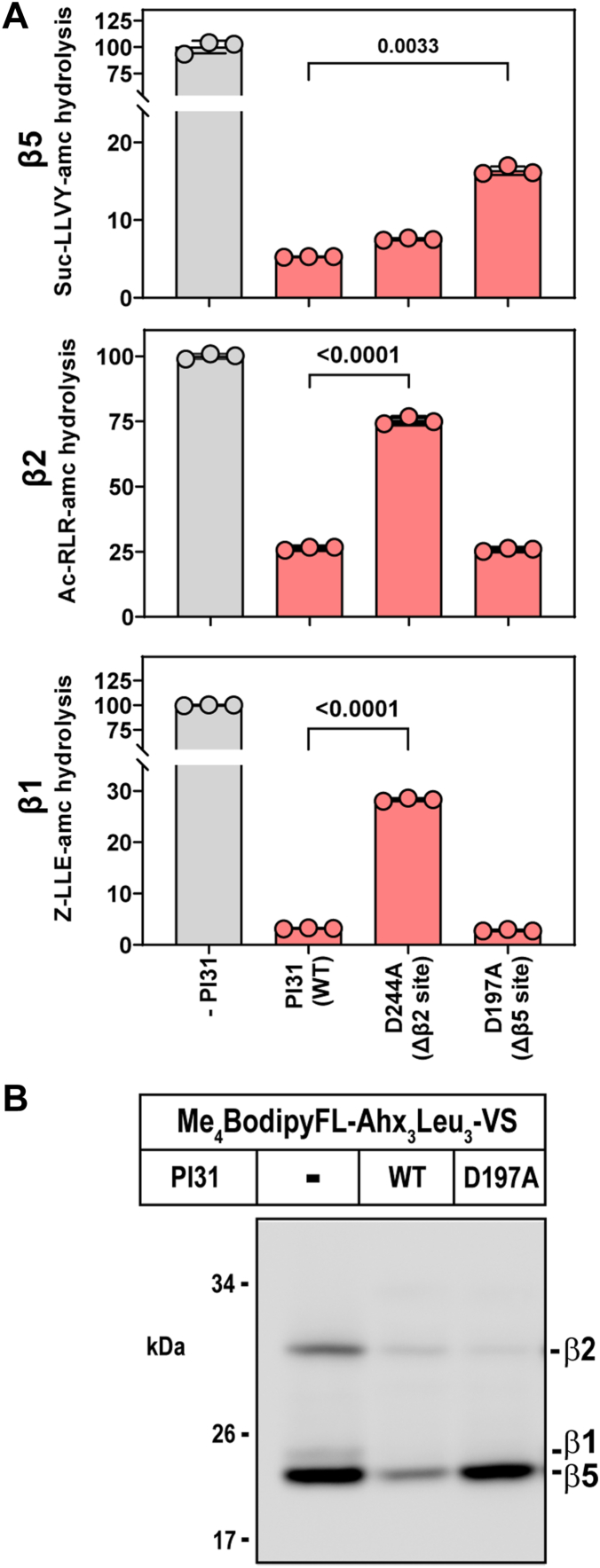 Figure 6