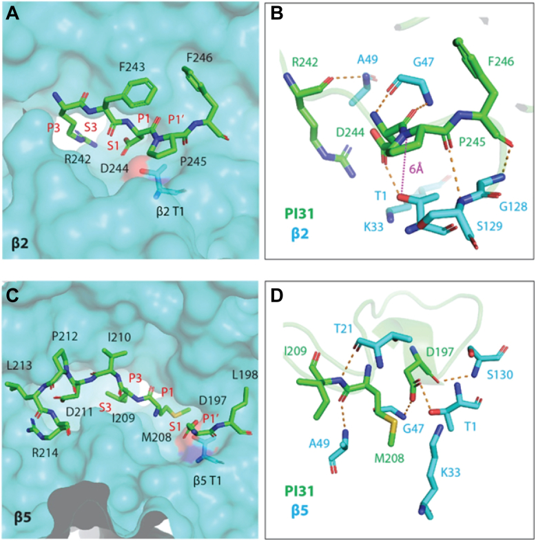 Figure 3