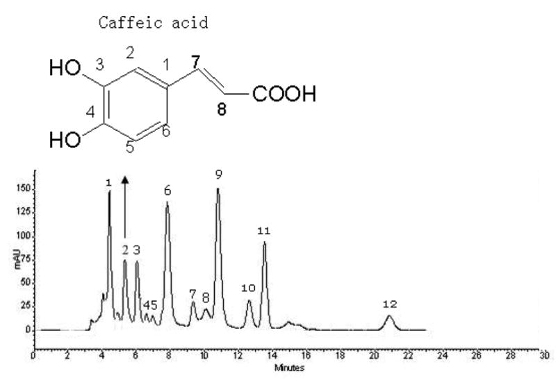 Fig.1