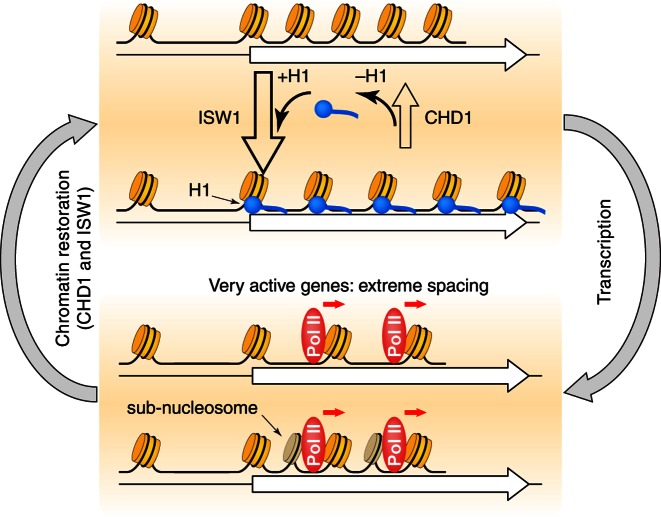 Figure 6.