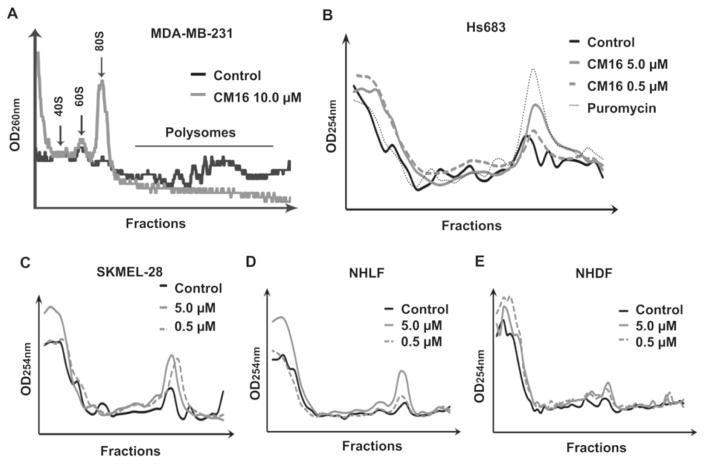 Fig. 6