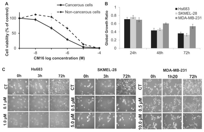 Fig. 3