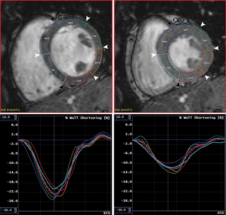 Figure 2: