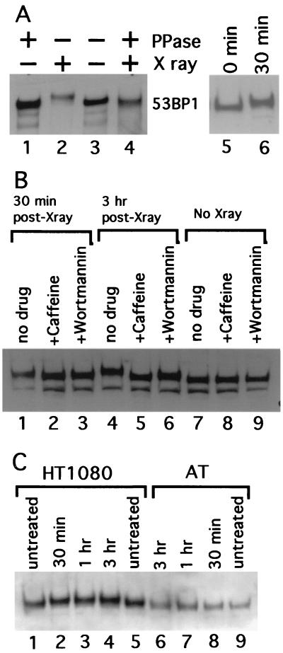 FIG. 6