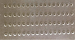 graphic file with name 41598_2024_53407_Figg_HTML.gif