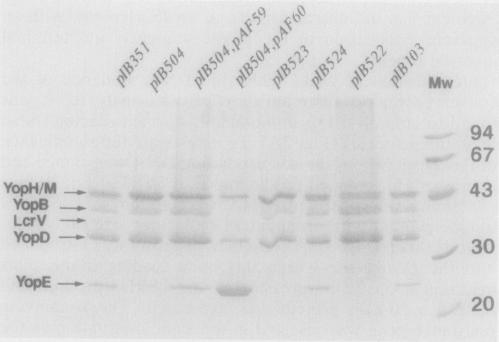 FIG. 6