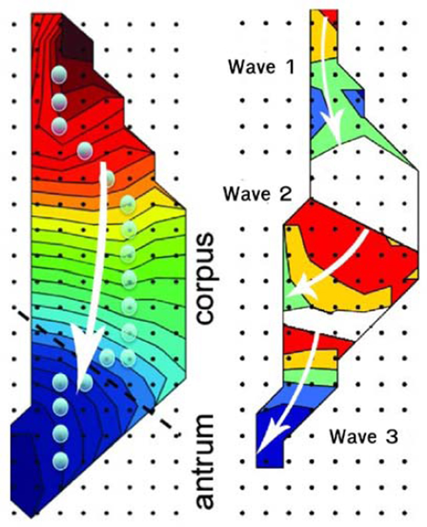 Fig. 3