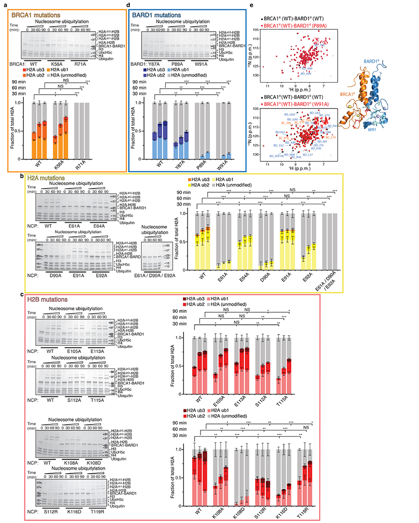 Extended Data Fig. 4 |