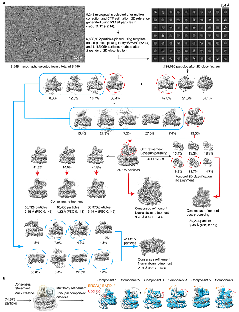 Extended Data Fig. 2 |