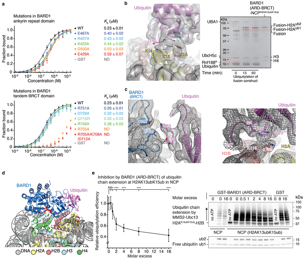 Extended Data Fig. 9 |