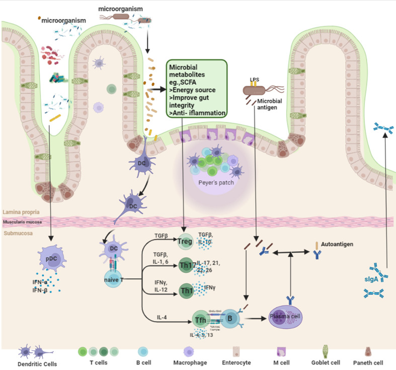 Figure 10