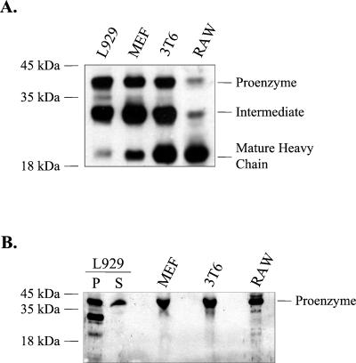 FIG. 7.