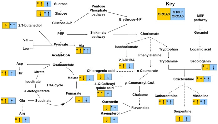 Figure 7