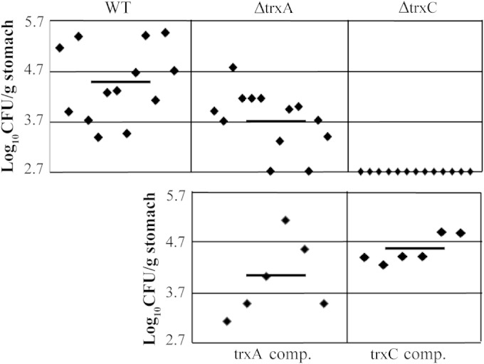 FIG 6