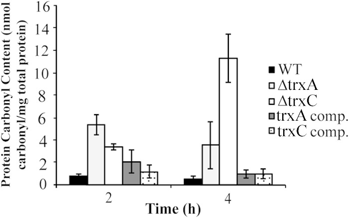 FIG 5