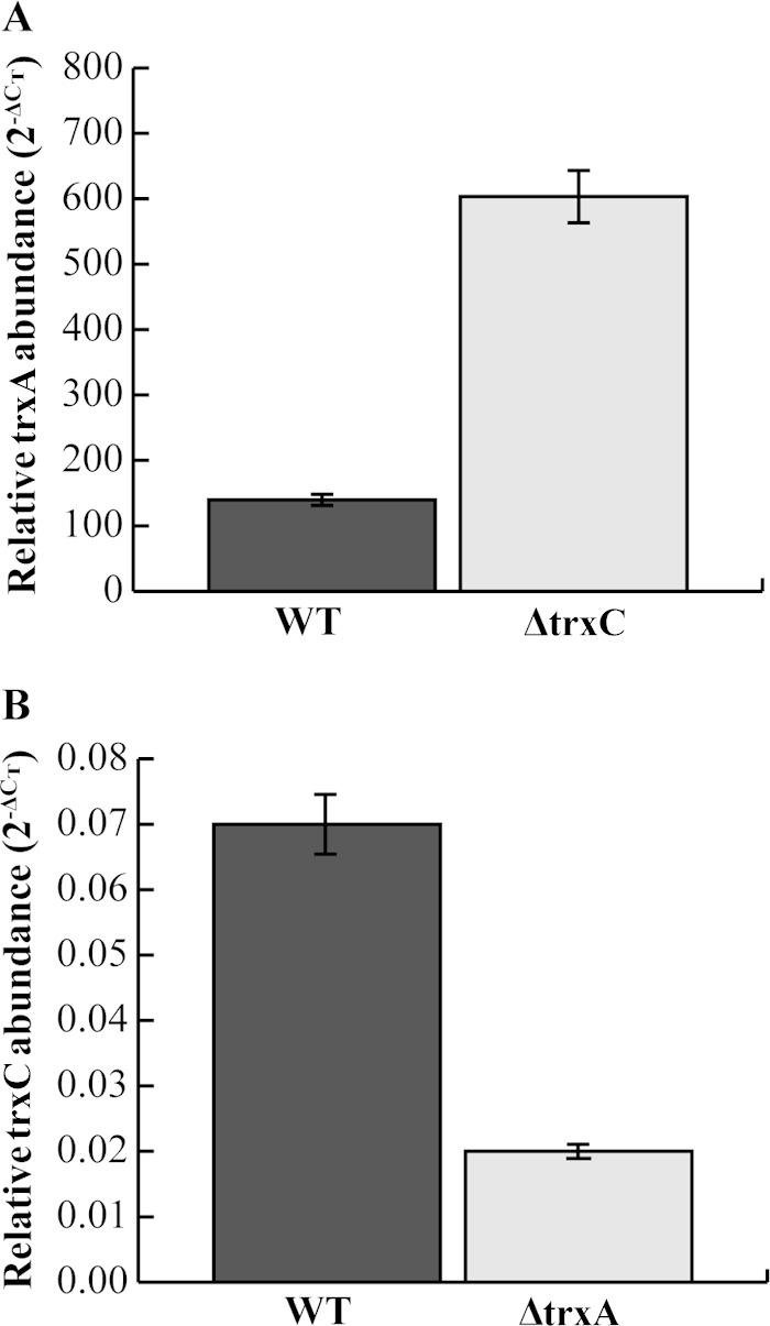 FIG 2