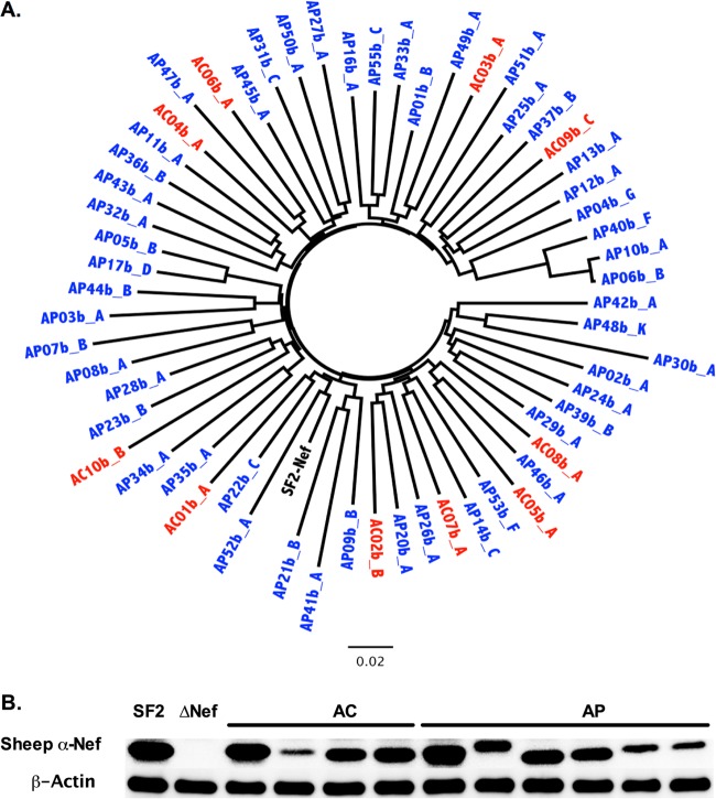 FIG 2