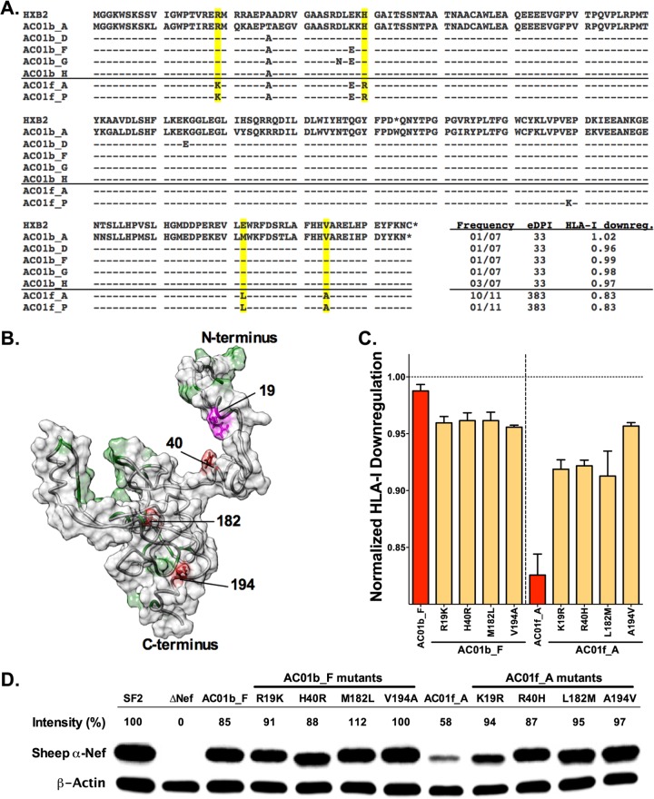 FIG 6