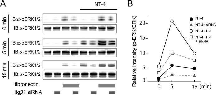 Fig 10