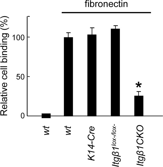 Fig 8