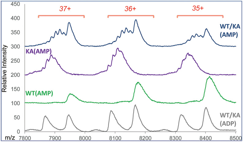 Fig. 9.