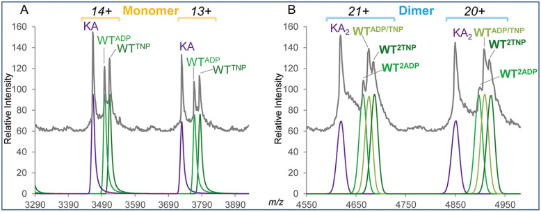 Fig. 8.