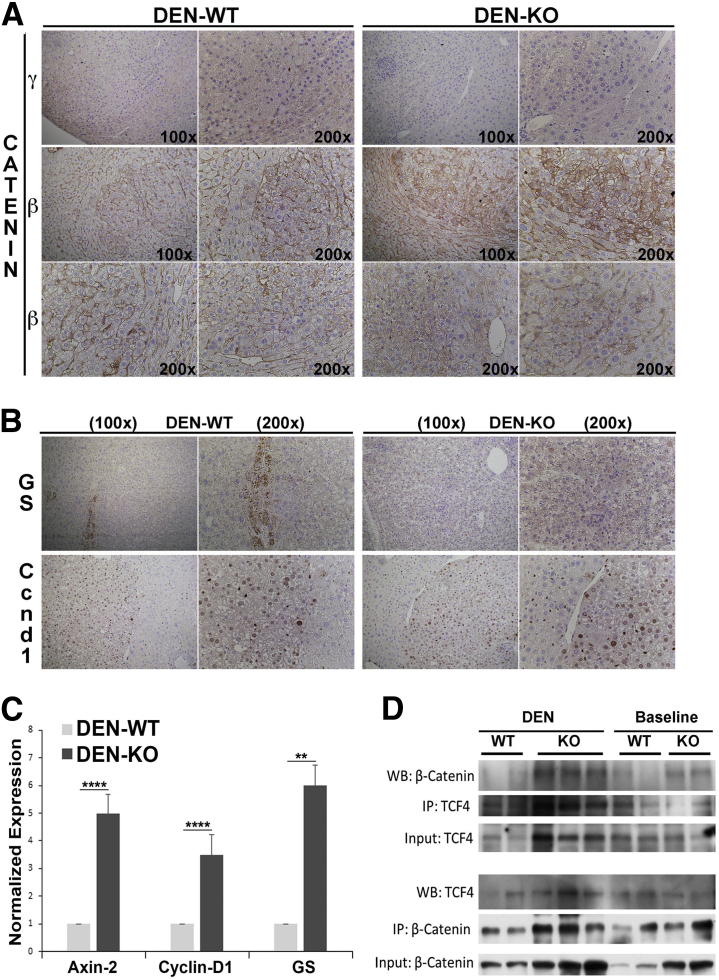 Figure 6