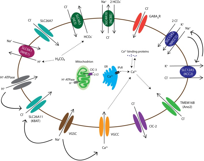 Figure 2