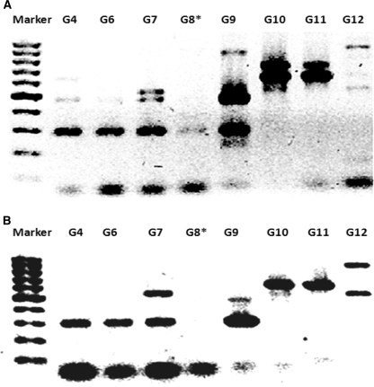 Fig. 5