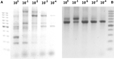 Fig. 7