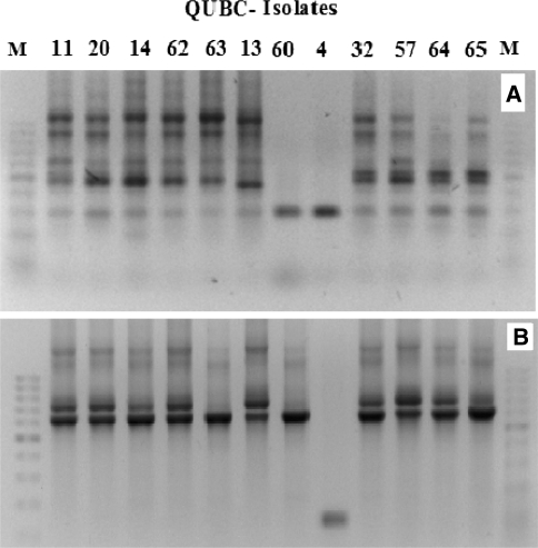 Fig. 6