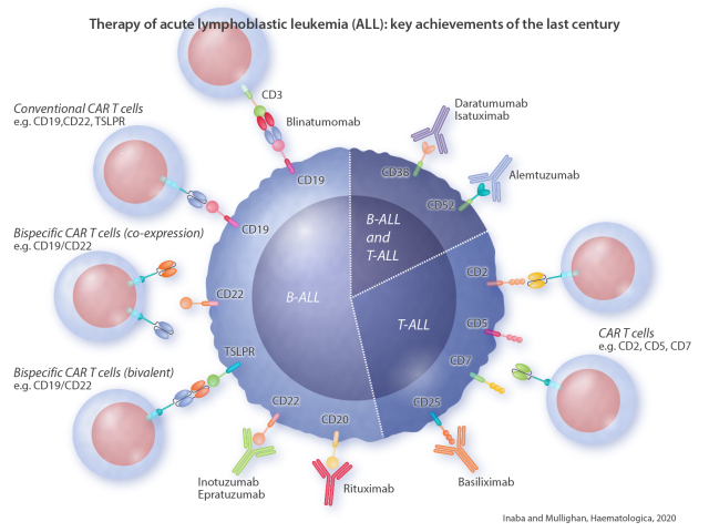 Graphical Abstract