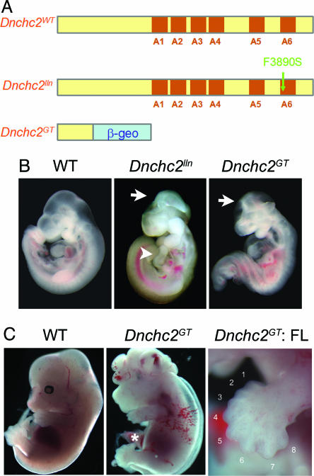 Fig. 3.