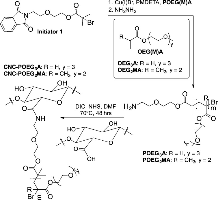 Scheme 1