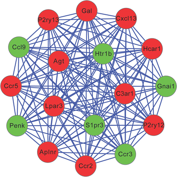 Fig. 3