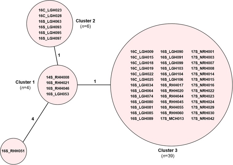 FIGURE 3