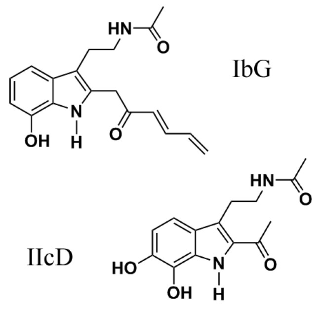 Scheme 5