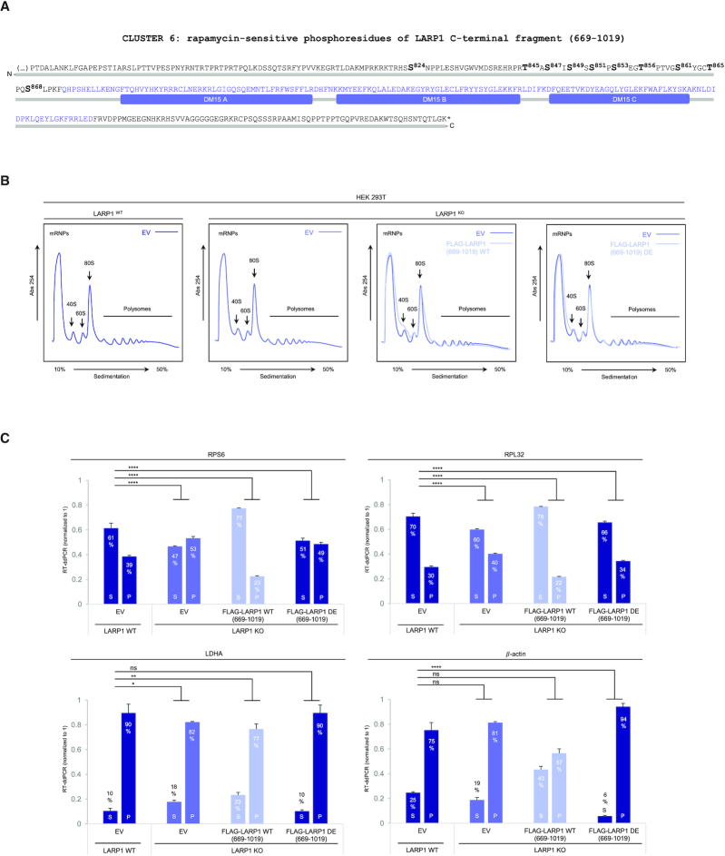 Figure 11.