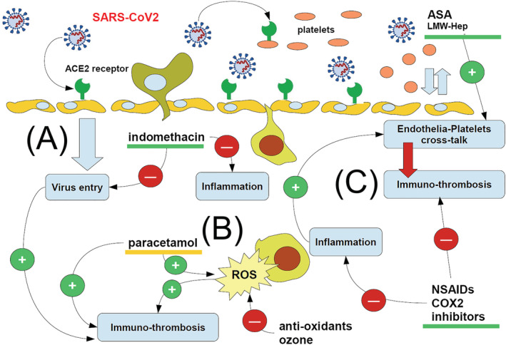 FIGURE 1